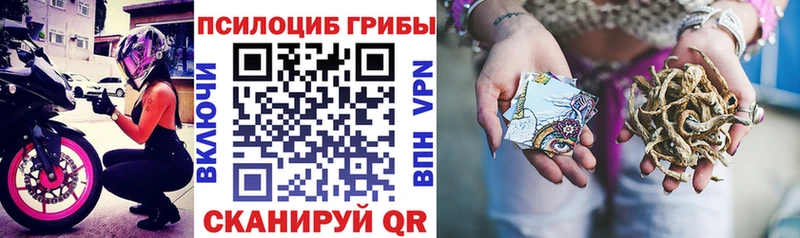 Галлюциногенные грибы GOLDEN TEACHER  Купить где  Себеж 