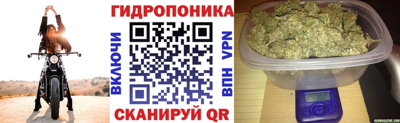 Каннабис тримм  Купить где  Себеж 